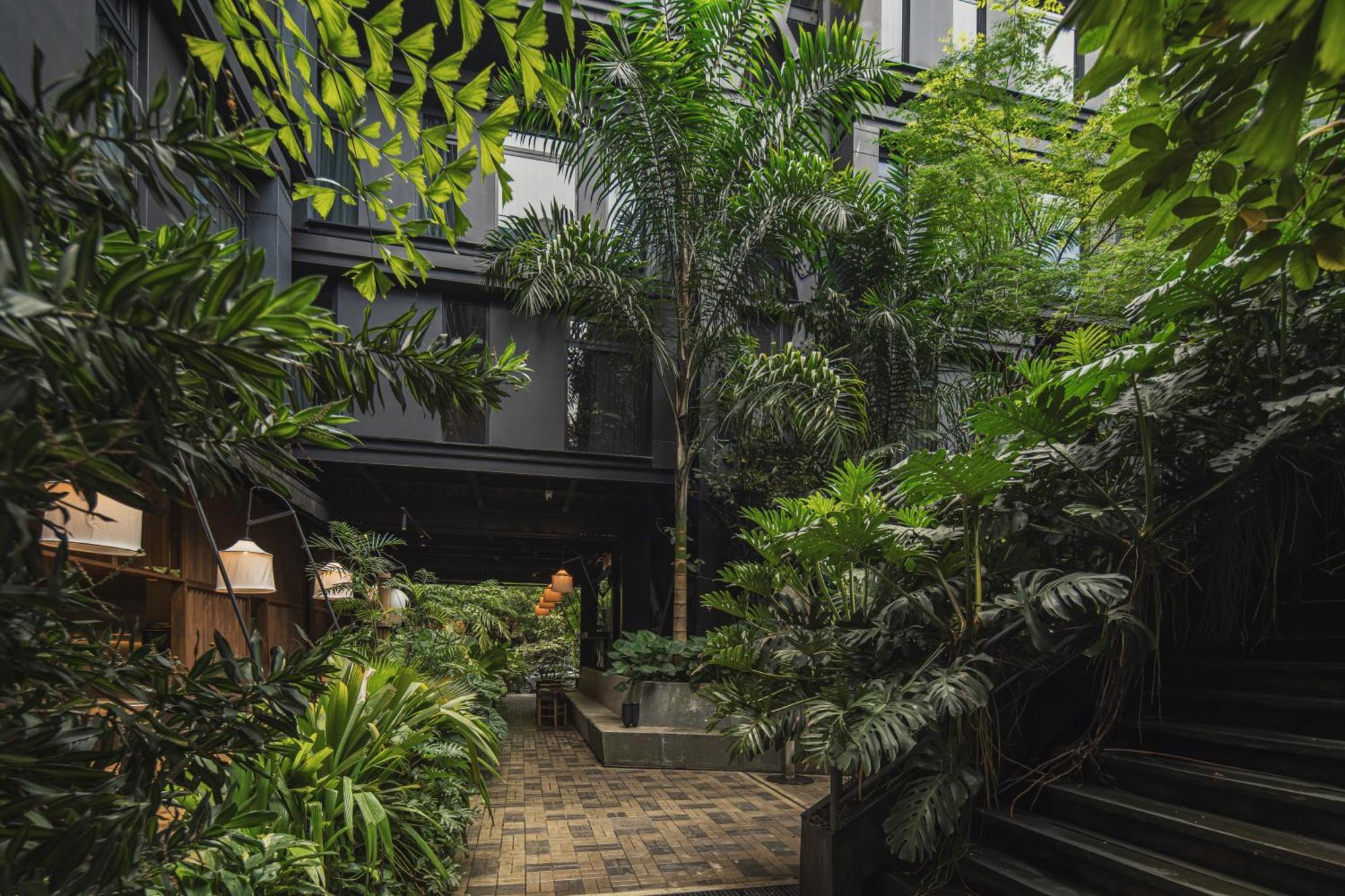 The Click Clack Hotel Medellín Exteriér fotografie The interior courtyard of the hotel