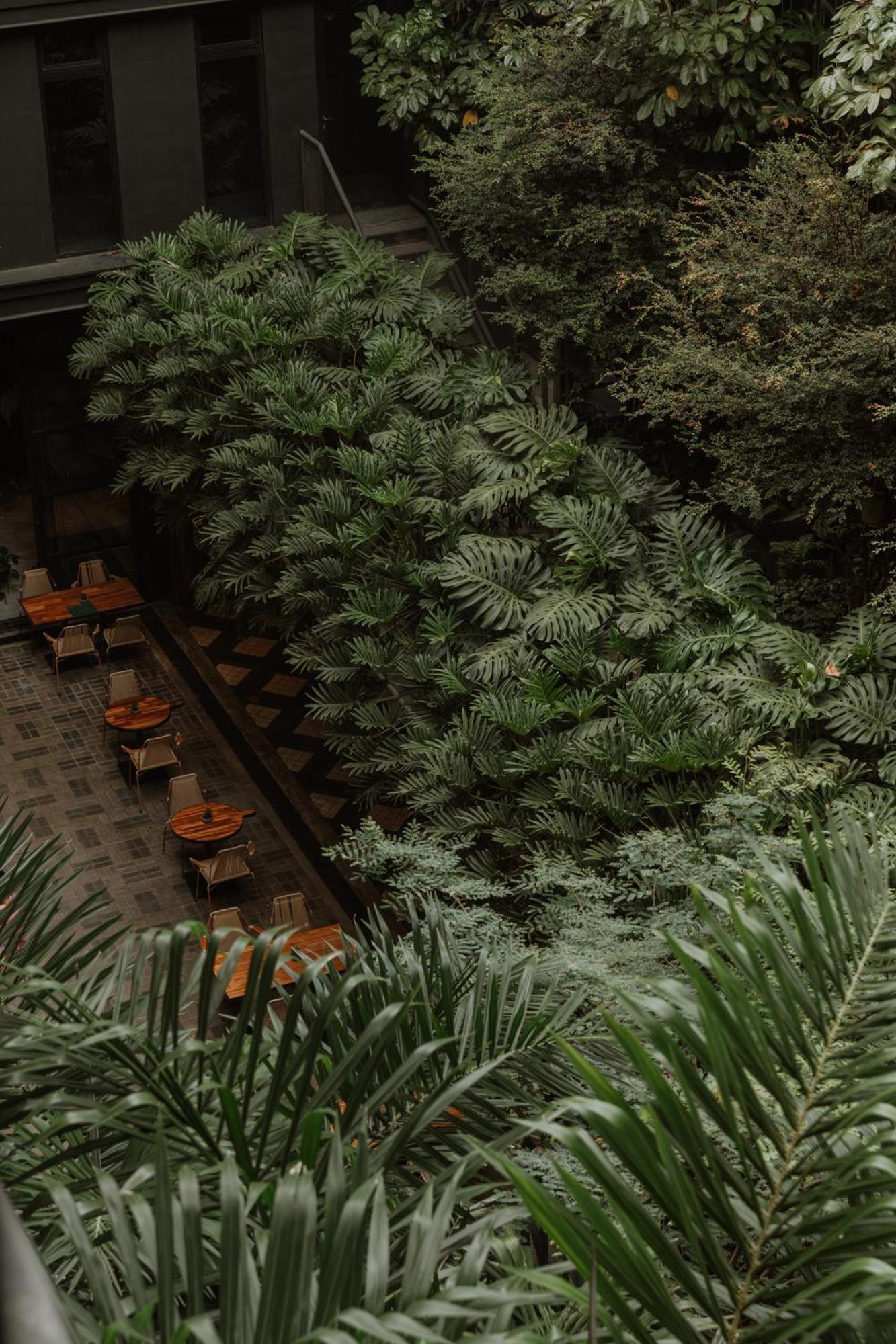 The Click Clack Hotel Medellín Exteriér fotografie Alpinum